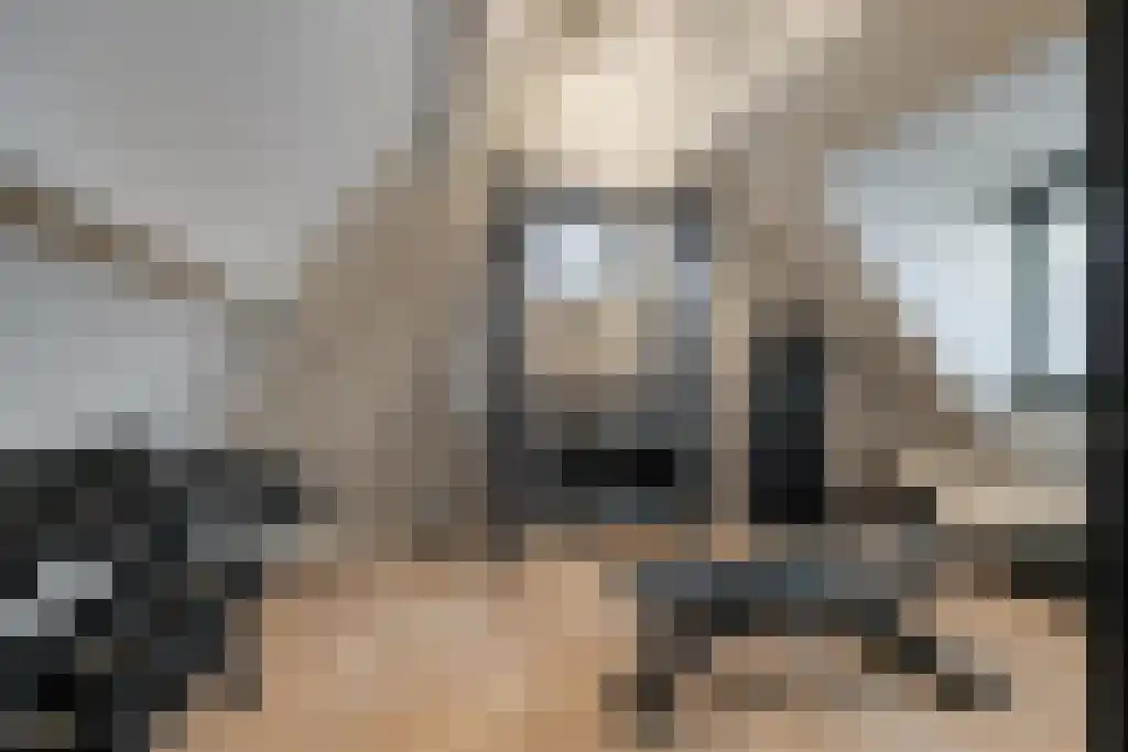 Boomschillerij 2 Waalre thumbnail 50