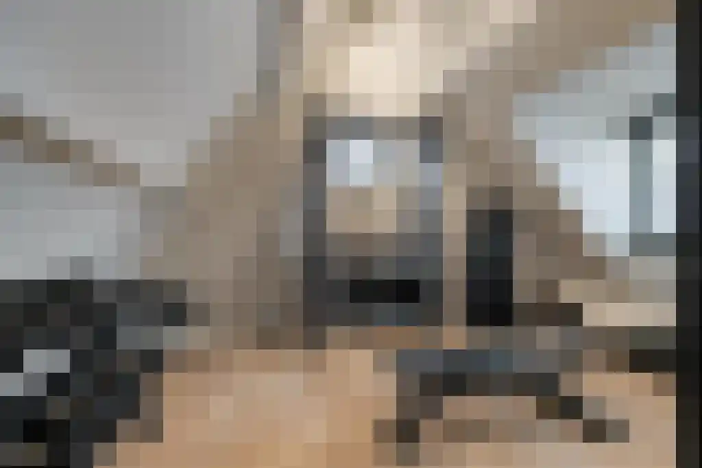 Boomschillerij 2 Waalre thumbnail 50