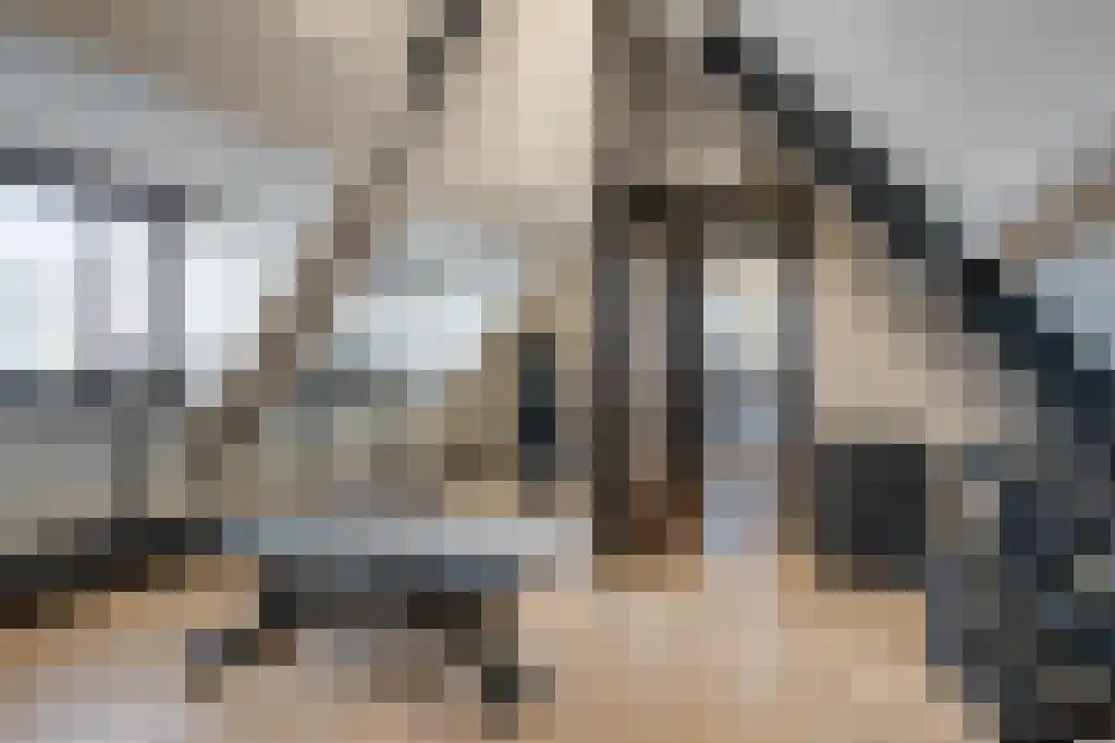 Boomschillerij 2 Waalre thumbnail 52