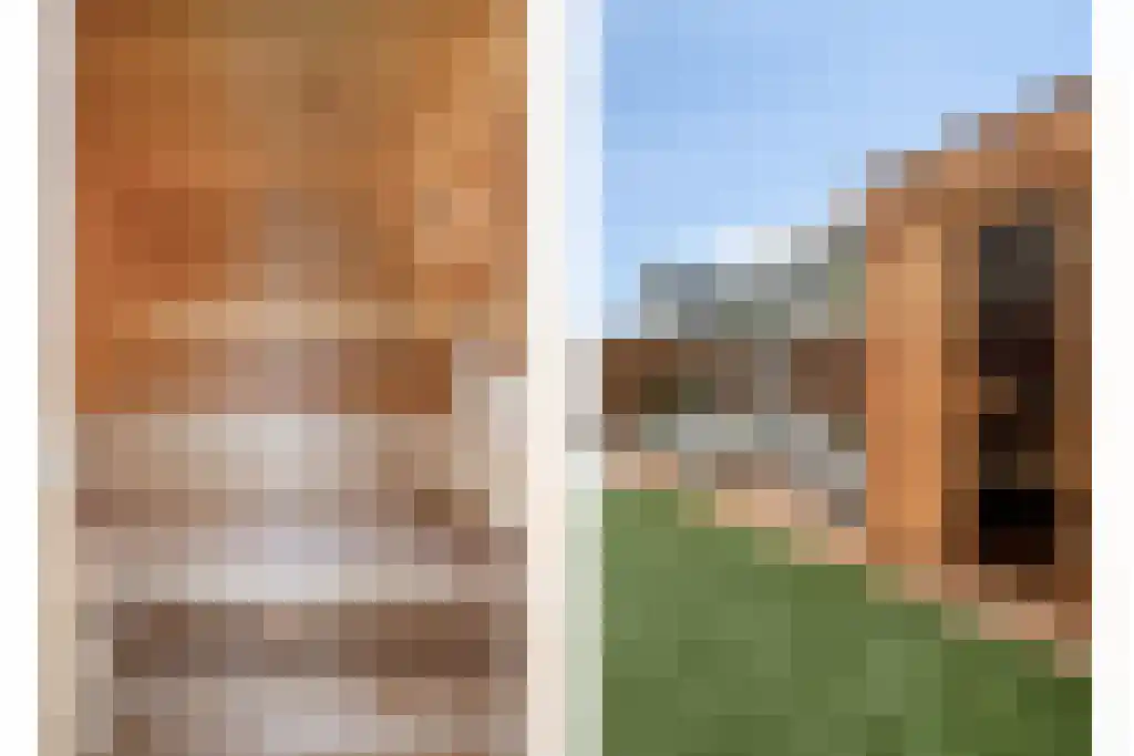 Boomschillerij 2 Waalre thumbnail 53