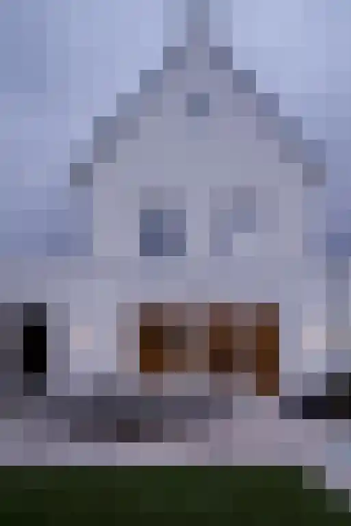 Boomschillerij 2 Waalre thumbnail 59