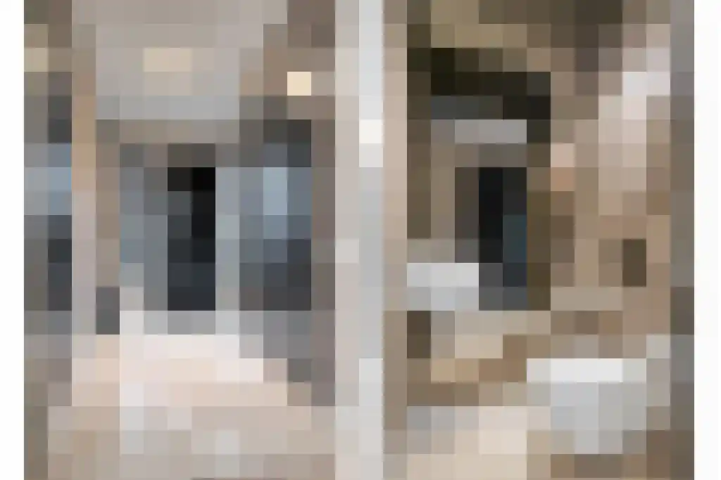 Boomschillerij 2 Waalre thumbnail 6
