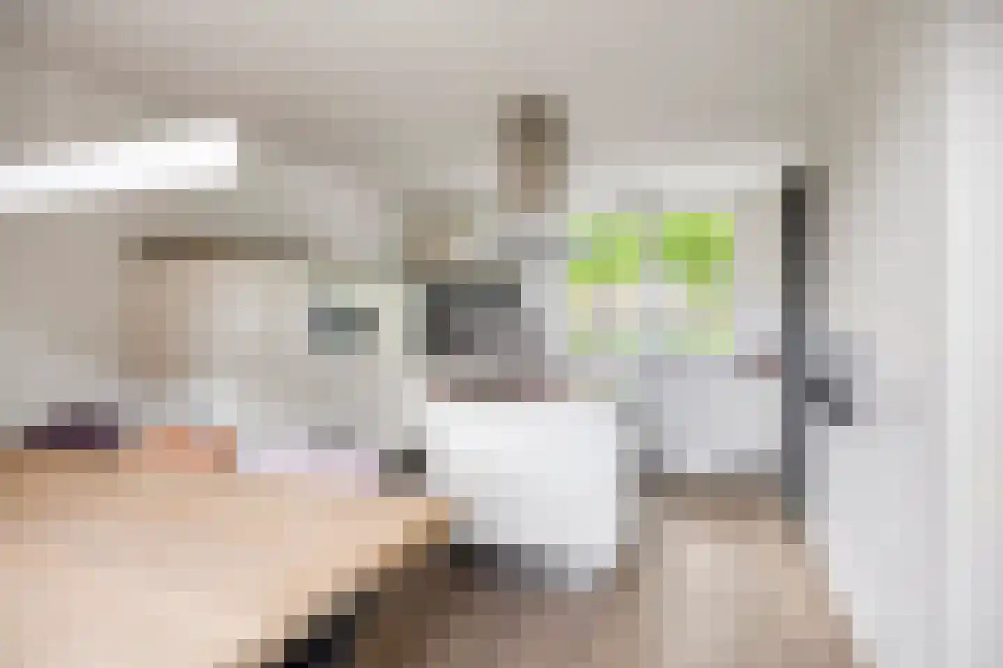 Boomsehoeve 1 Helmond thumbnail 15