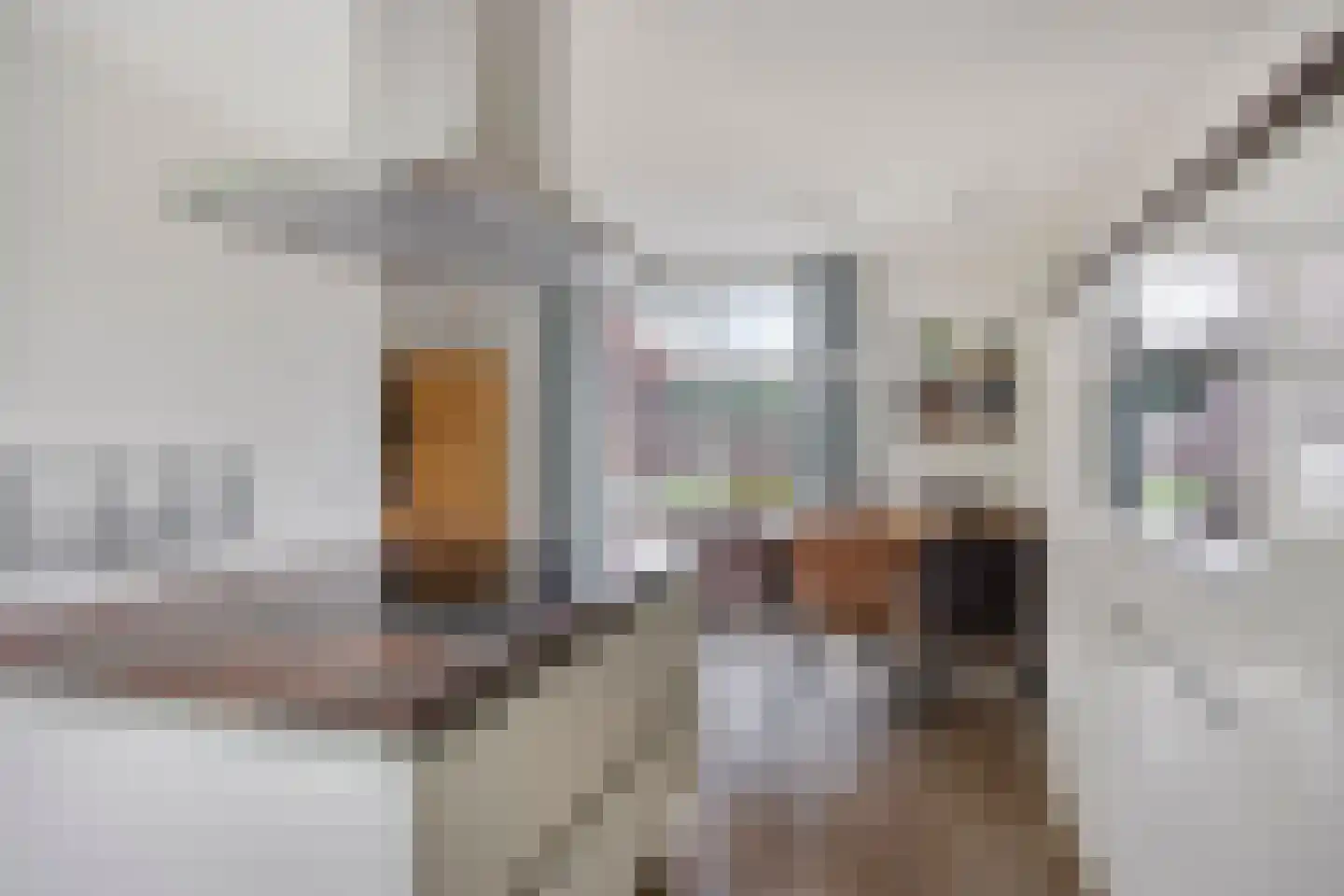 Boomsehoeve 1 Helmond thumbnail 16