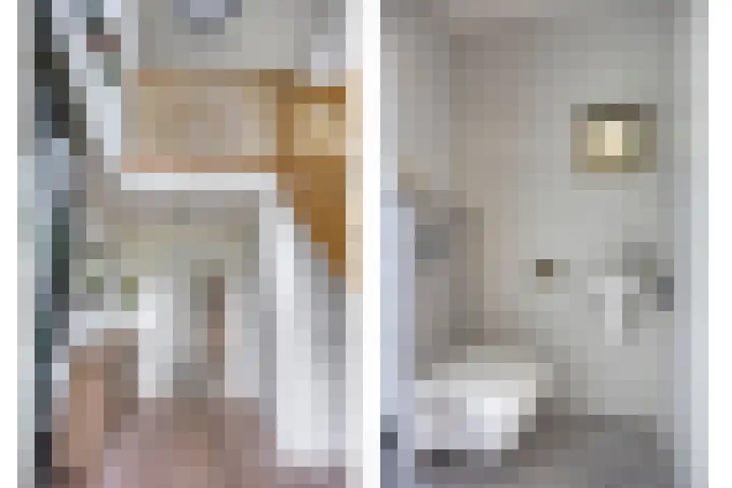 Boomsehoeve 1 Helmond thumbnail 8