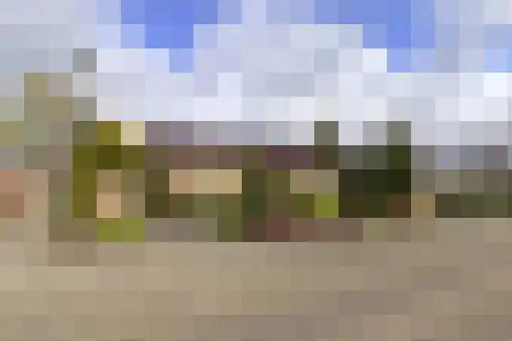 Boomsluiters 13 en Tuk