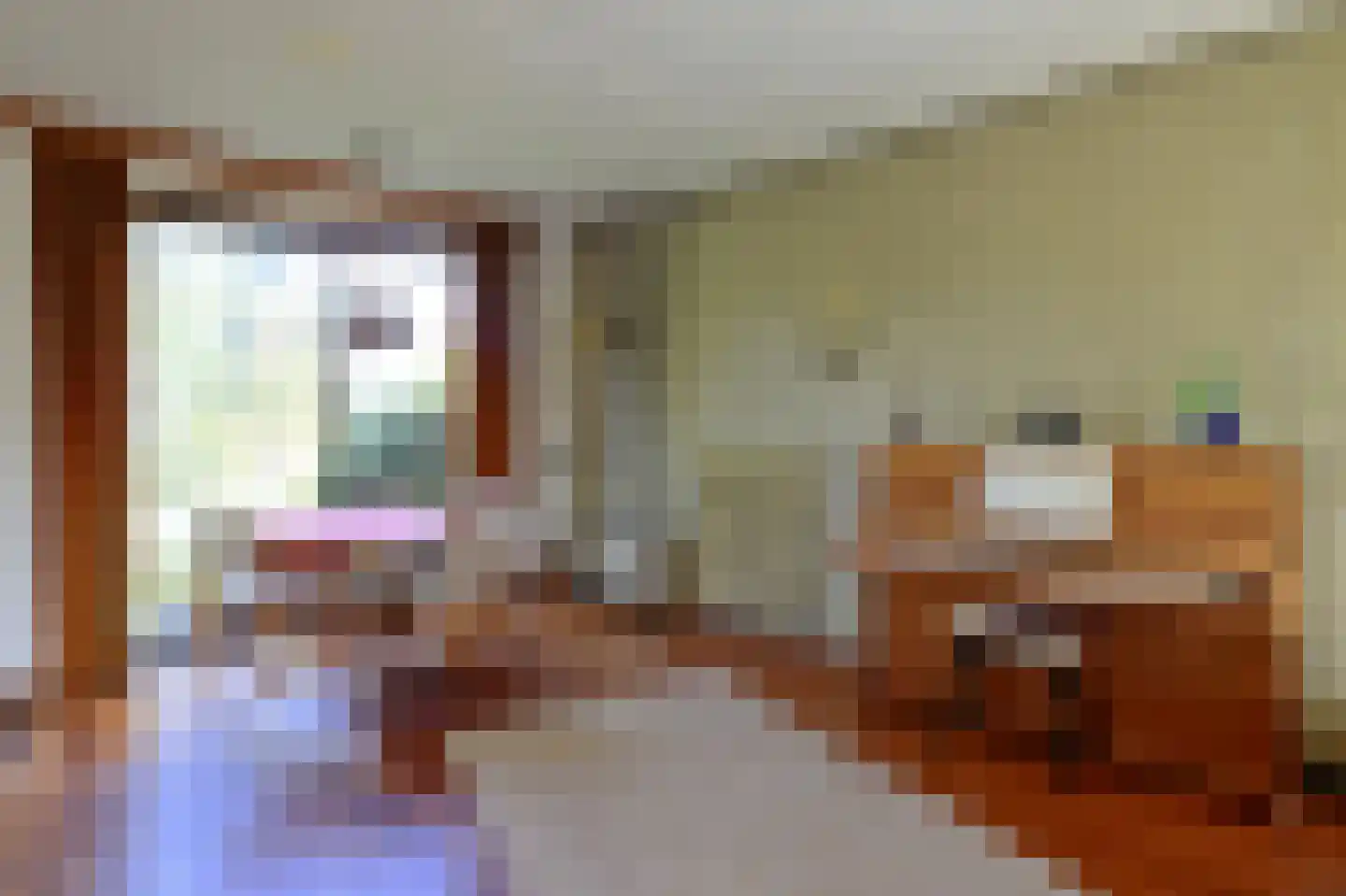 Boomsluiters 13 Tuk thumbnail 10