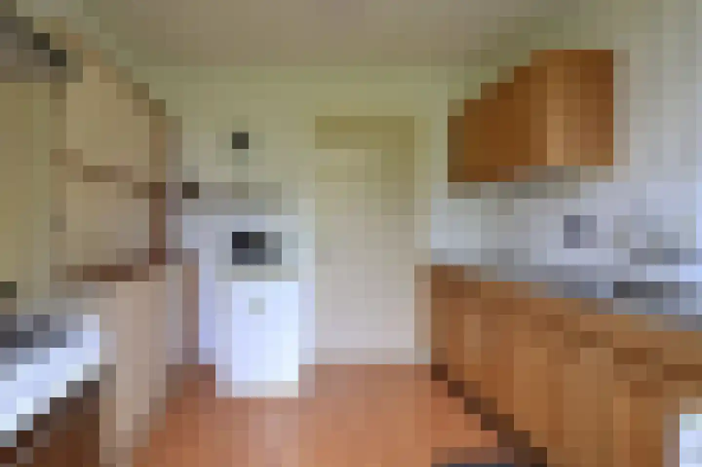 Boomsluiters 13 Tuk thumbnail 12