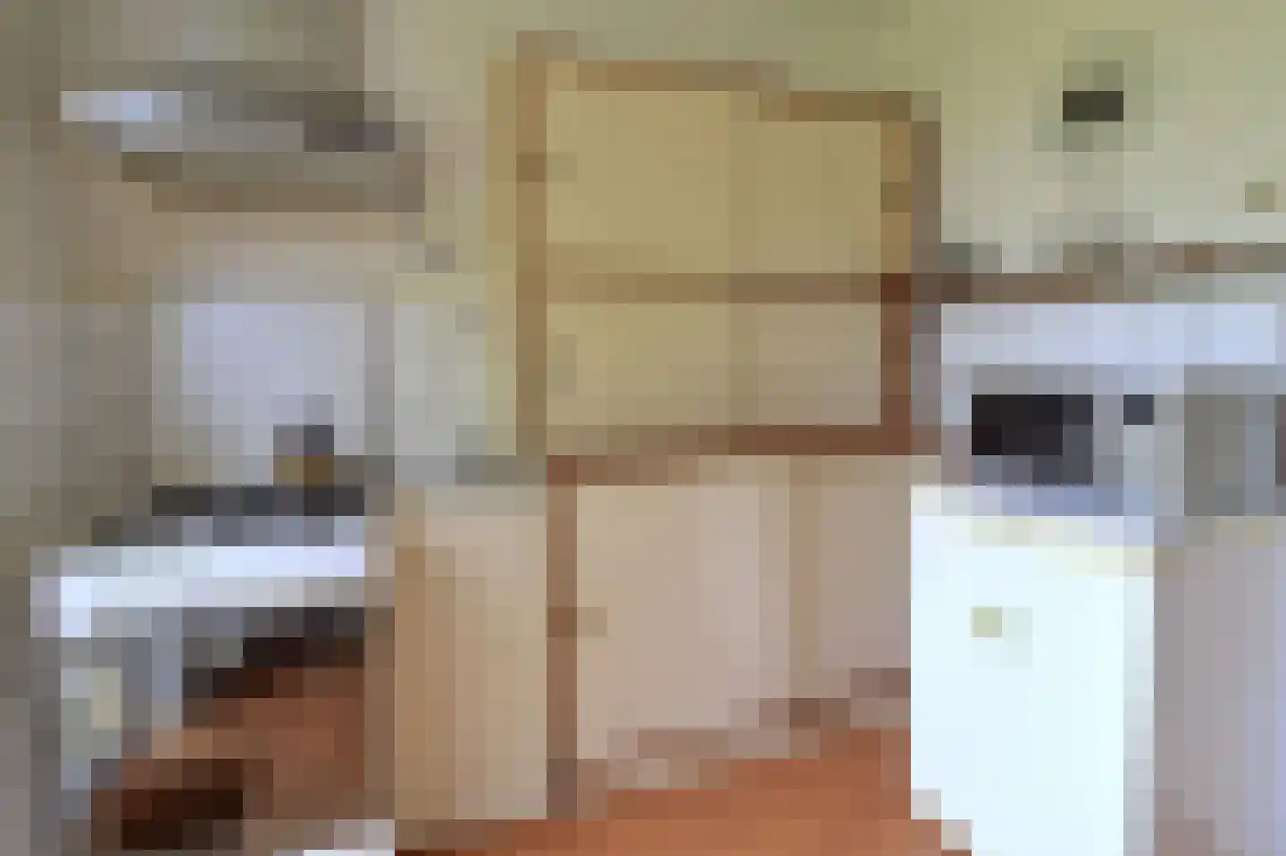Boomsluiters 13 Tuk thumbnail 14