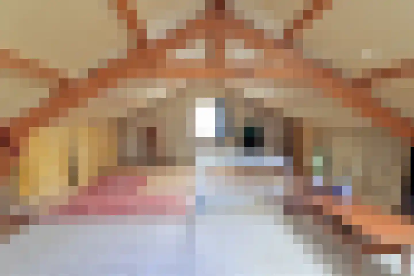 Boomsluiters 13 Tuk thumbnail 21