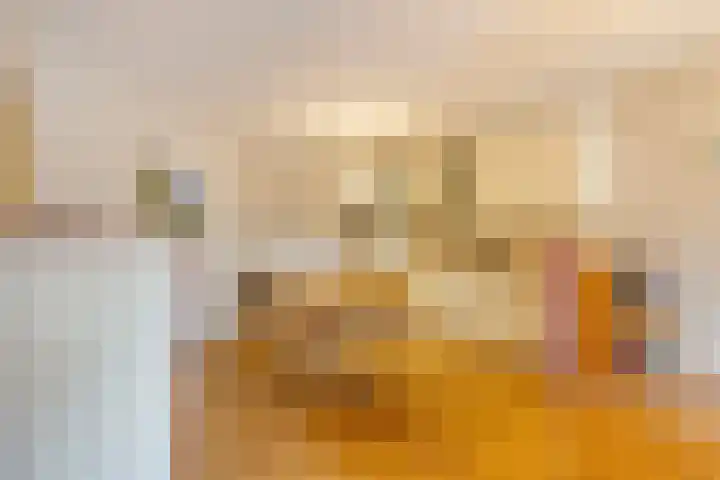 Boomsluiterskade 219 Den Haag thumbnail 14