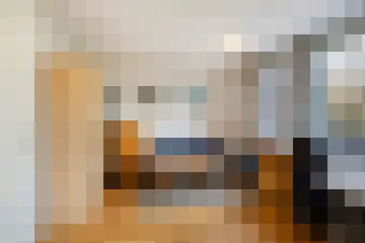 Boomsluiterskade 219 Den Haag thumbnail 20