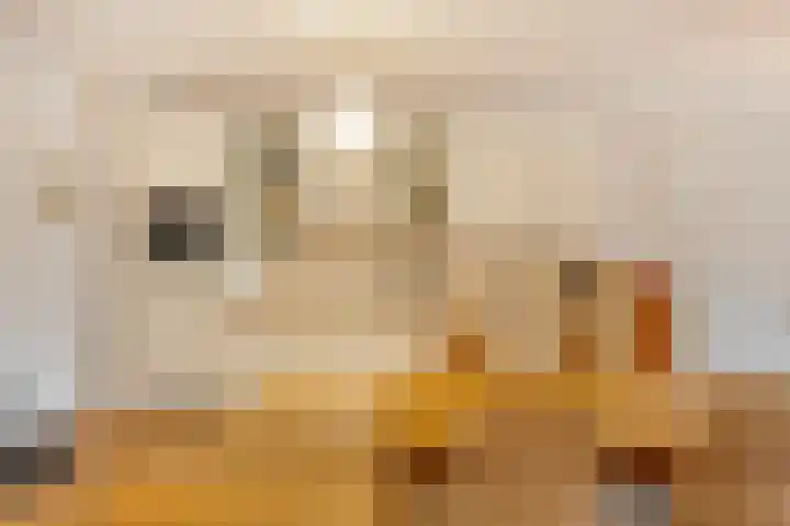 Boomsluiterskade 219 Den Haag thumbnail 4