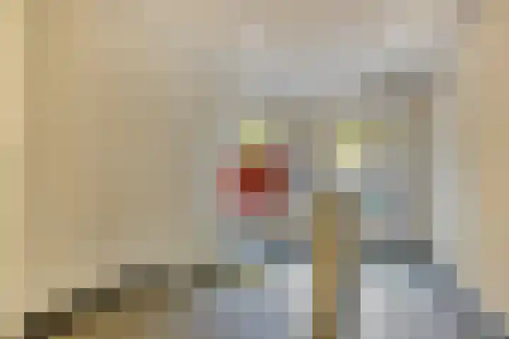Boomsluiterskade 219 Den Haag thumbnail 7