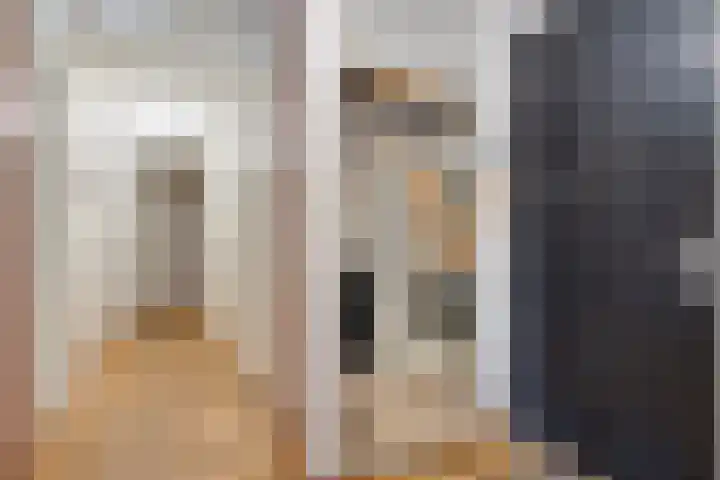 Boomsluiterskade 219 Den Haag thumbnail 9