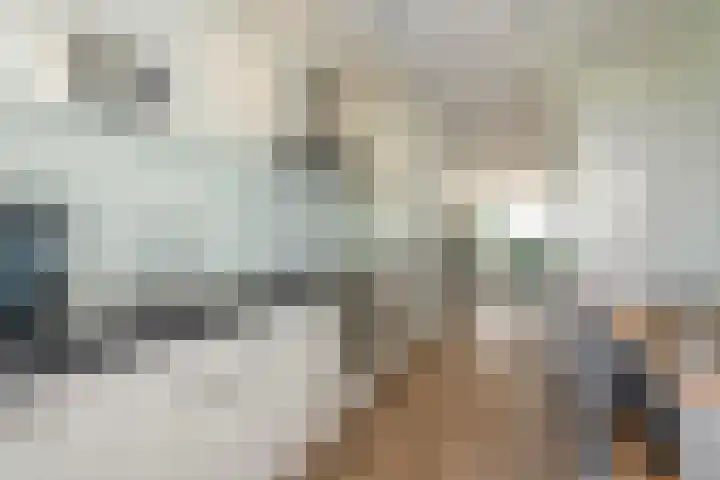 Boomsluiterskade 221 Den Haag thumbnail 14