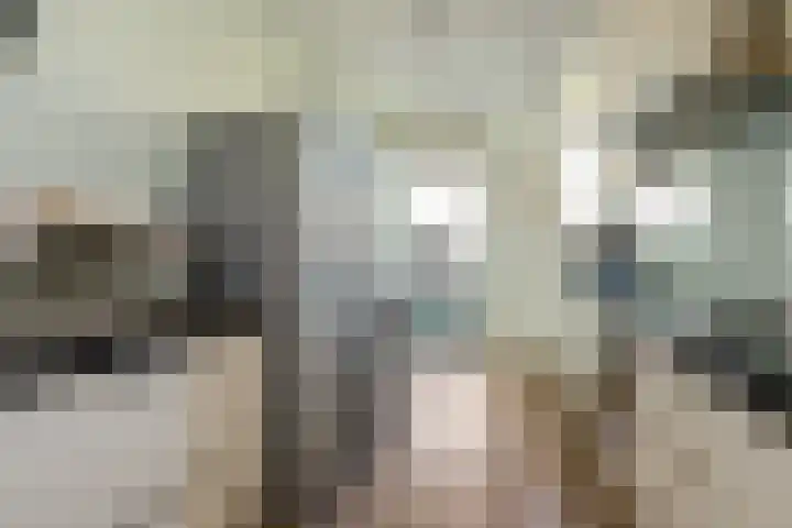Boomsluiterskade 221 Den Haag thumbnail 16