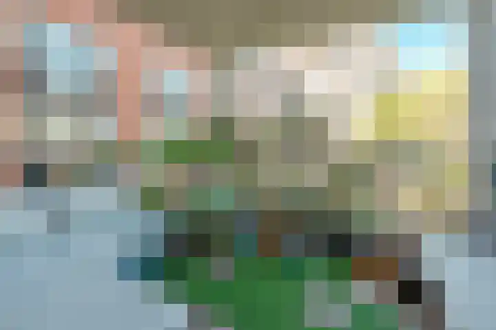 Boomsluiterskade 221 Den Haag thumbnail 17