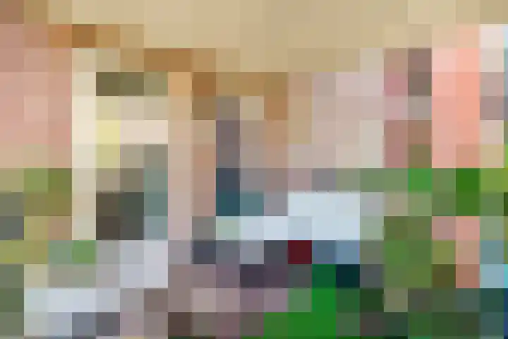 Boomsluiterskade 221 Den Haag thumbnail 19