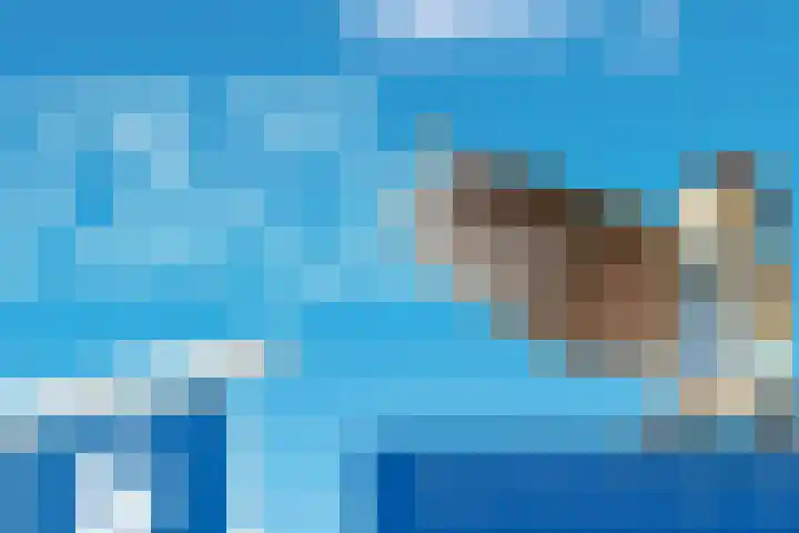 Boomsluiterskade 221 Den Haag thumbnail 42