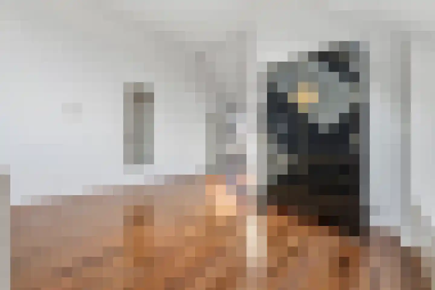 Boomsluiterskade 229 Den Haag thumbnail 12