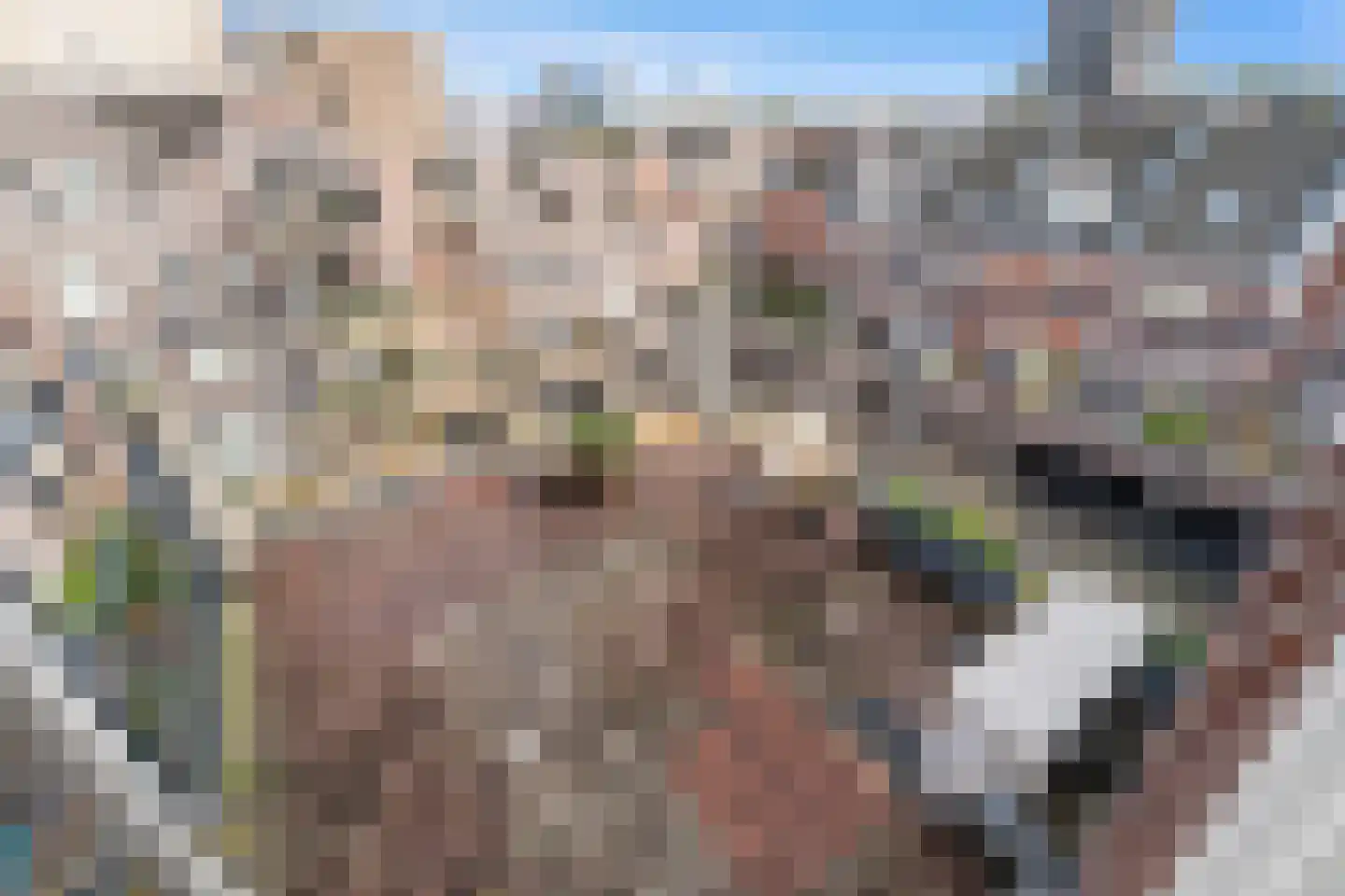 Boomsluiterskade 229 Den Haag thumbnail 13
