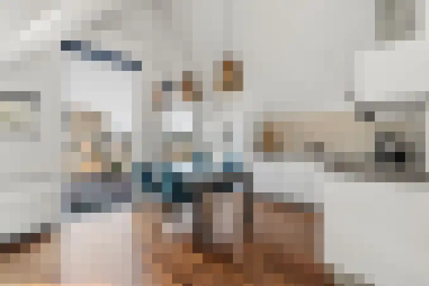 Boomsluiterskade 229 Den Haag thumbnail 15