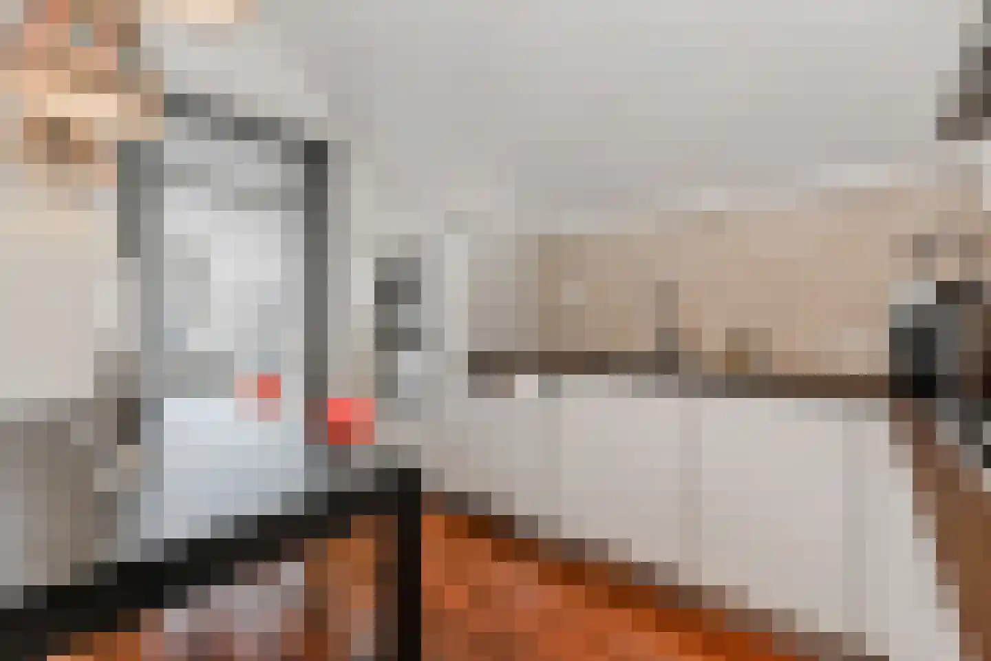 Boomsluiterskade 229 Den Haag thumbnail 16