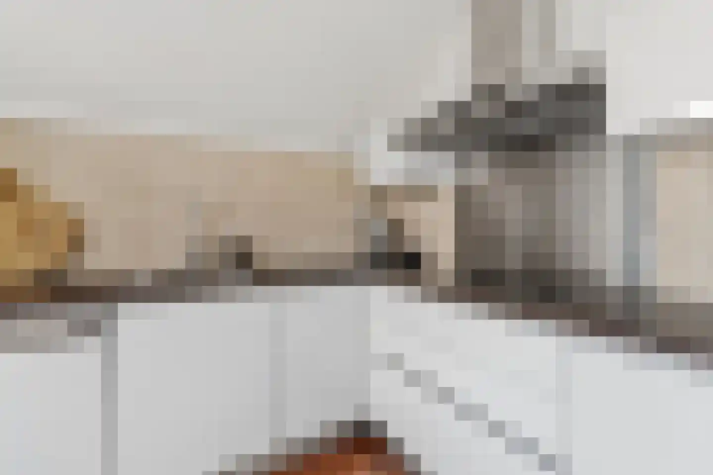 Boomsluiterskade 229 Den Haag thumbnail 21