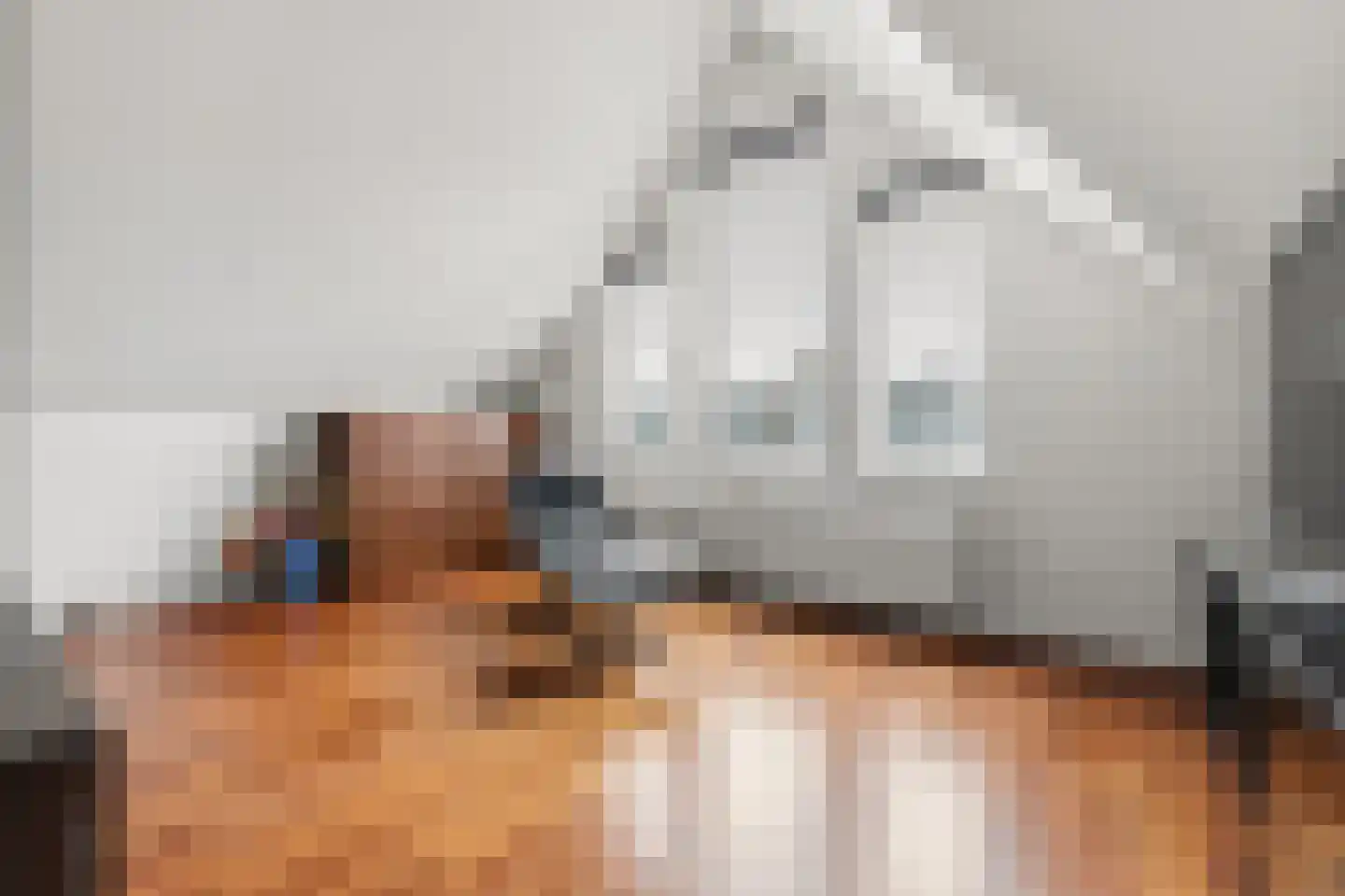 Boomsluiterskade 229 Den Haag thumbnail 23