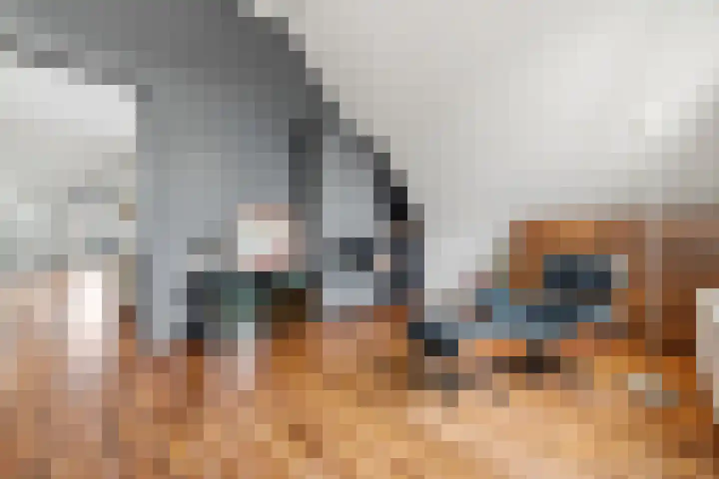 Boomsluiterskade 229 Den Haag thumbnail 24
