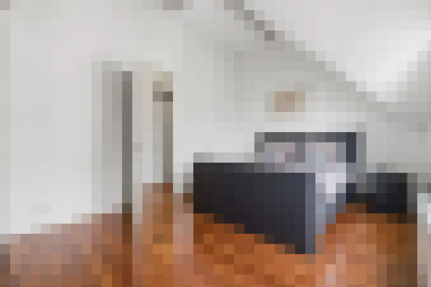 Boomsluiterskade 229 Den Haag thumbnail 31