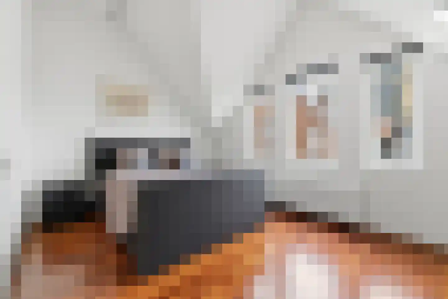 Boomsluiterskade 229 Den Haag thumbnail 32