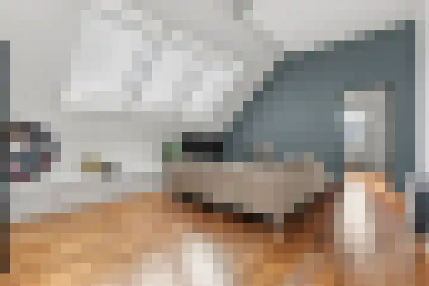 Boomsluiterskade 229 Den Haag thumbnail 6