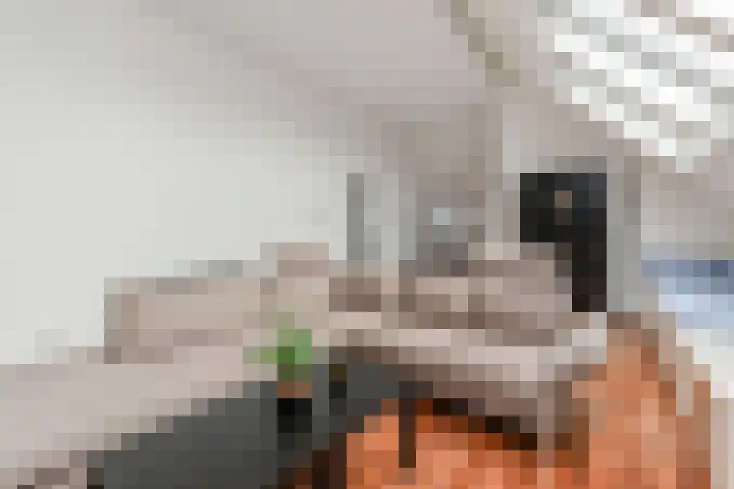 Boomsluiterskade 229 Den Haag thumbnail 6