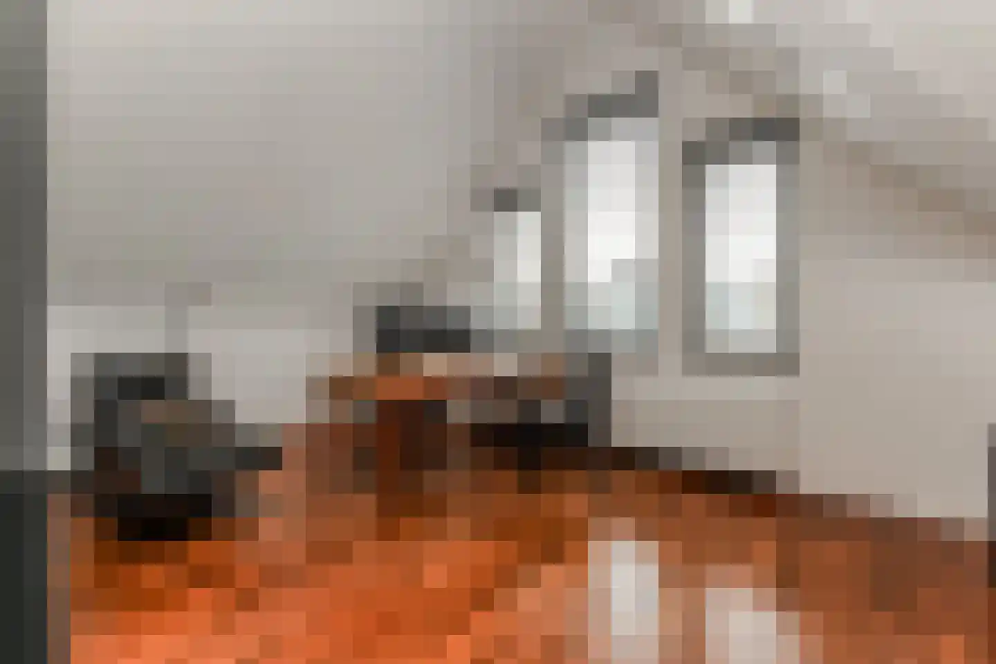 Boomsluiterskade 229 Den Haag thumbnail 9