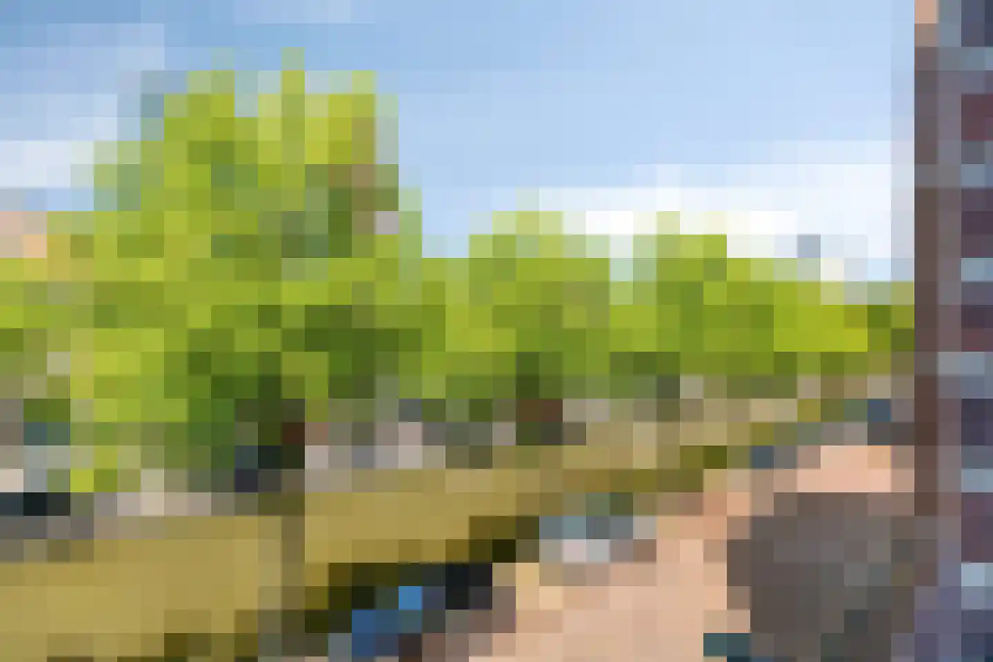 Boomsluiterskade 241 Den Haag thumbnail 14