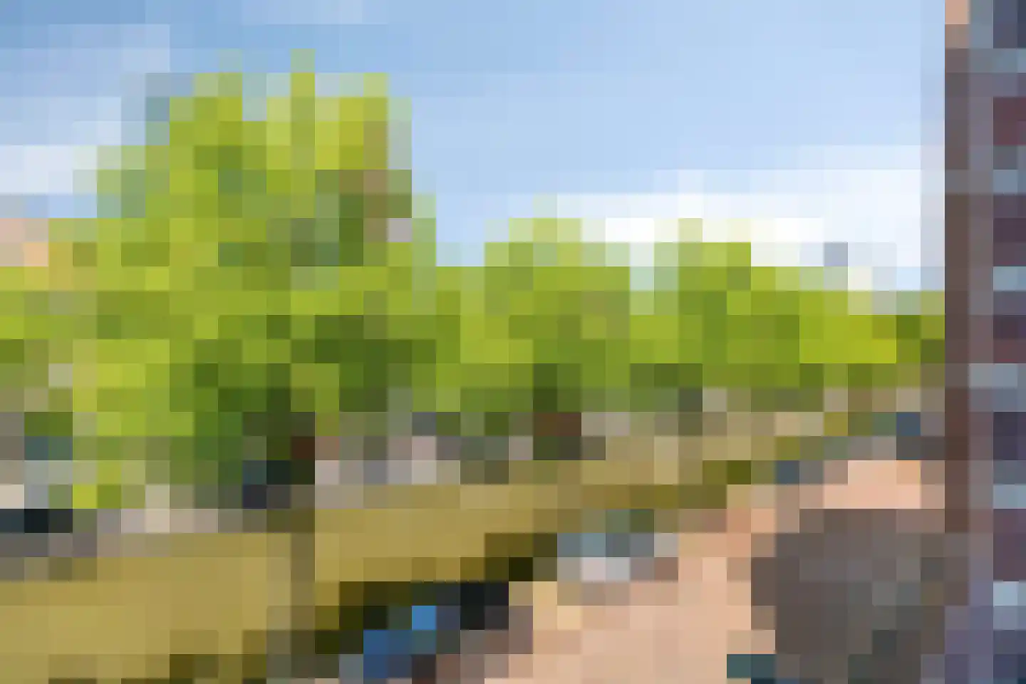 Boomsluiterskade 241 Den Haag thumbnail 14