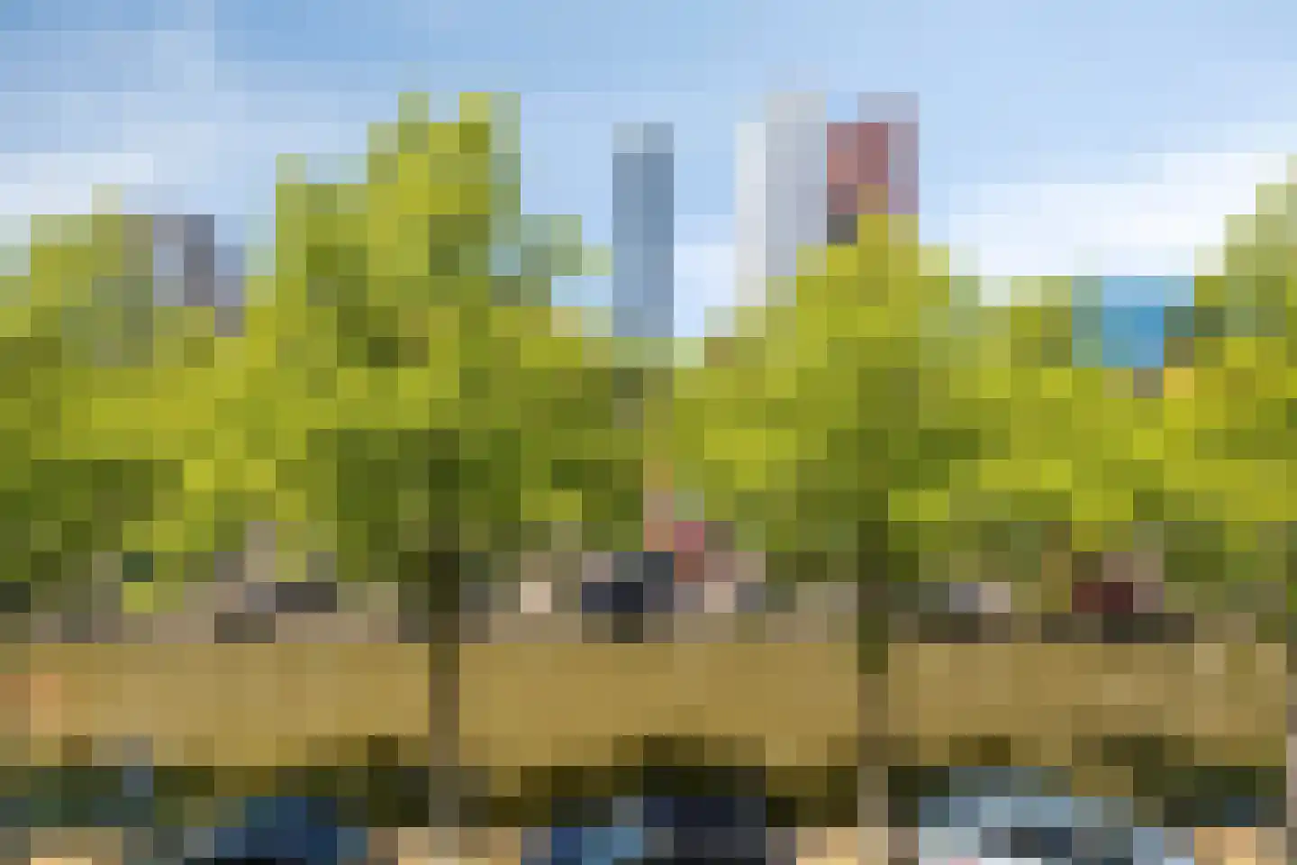 Boomsluiterskade 241 Den Haag thumbnail 15