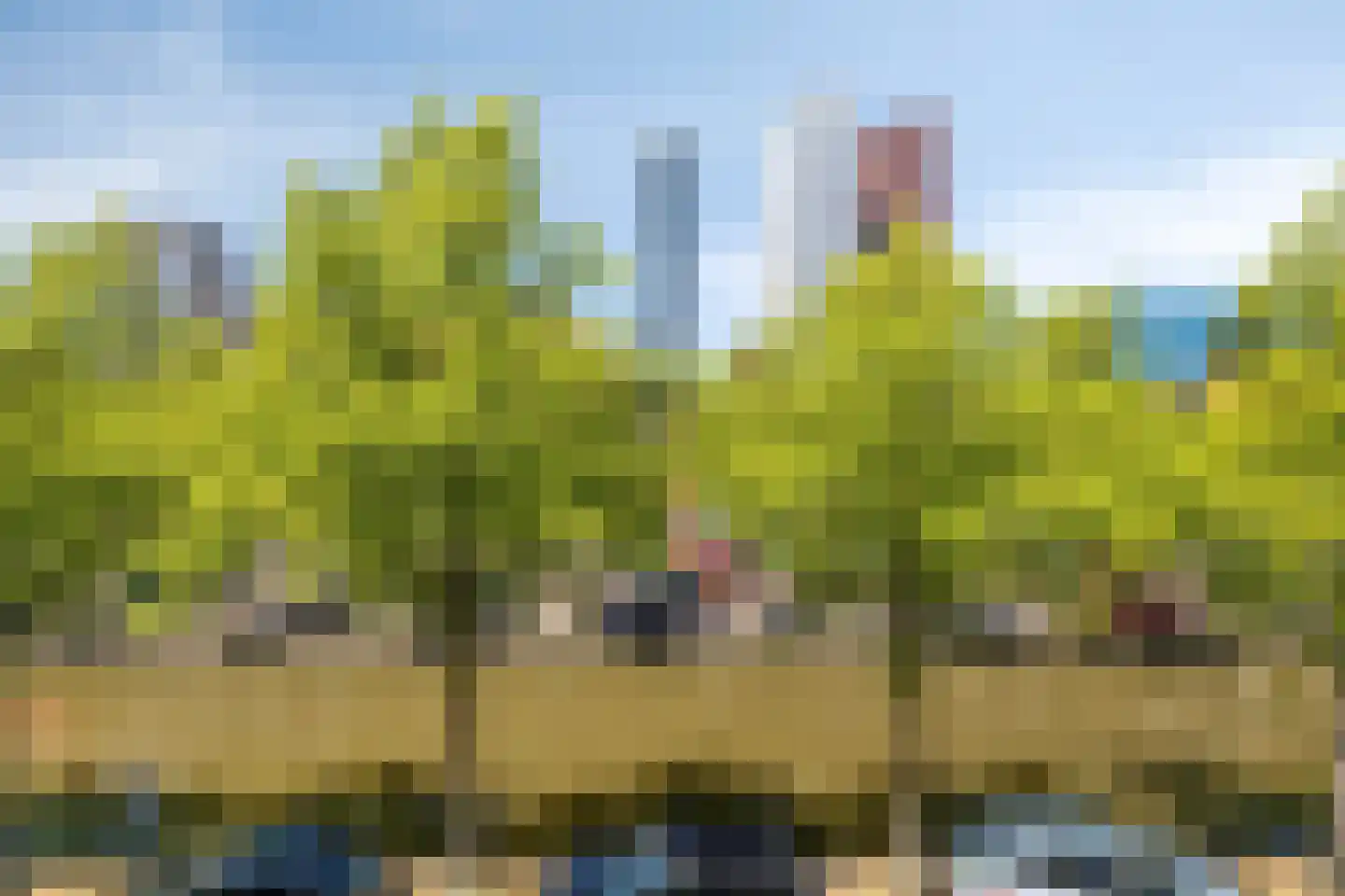 Boomsluiterskade 241 Den Haag thumbnail 15