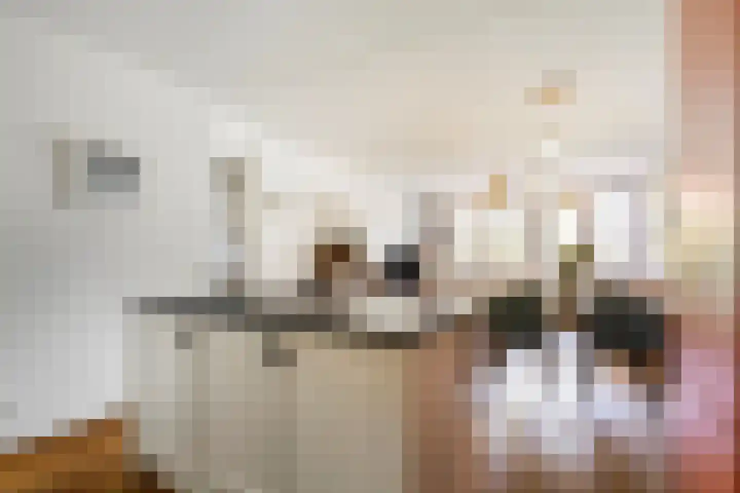 Boomsluiterskade 241 Den Haag thumbnail 9
