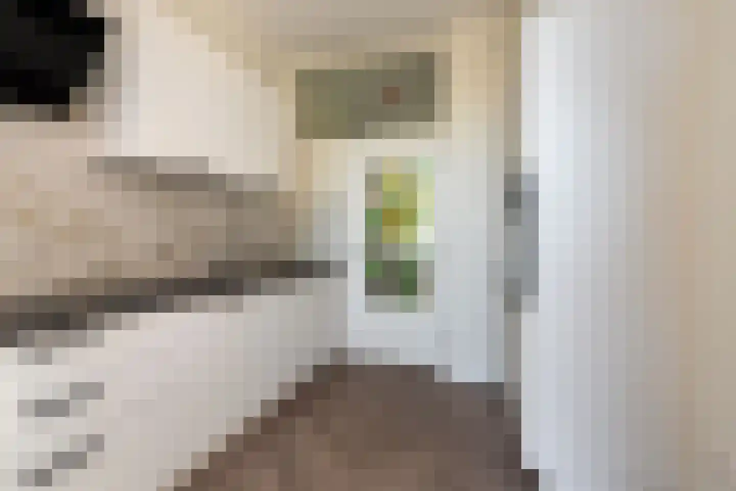 Boomsluiterskade 75 Den Haag thumbnail 13
