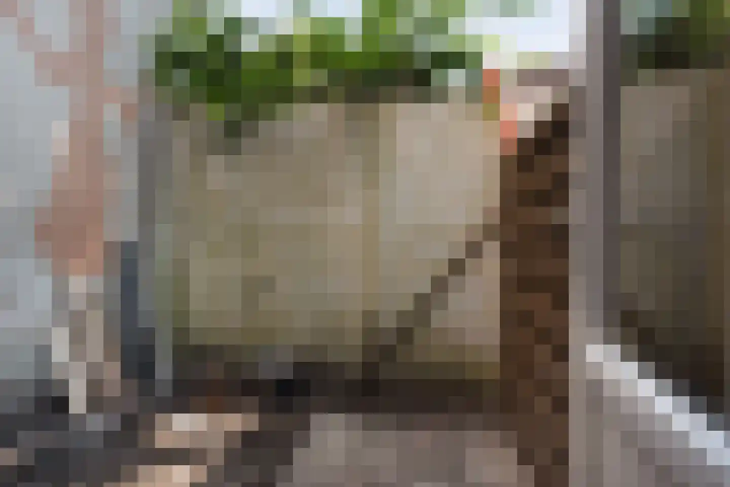 Boomsluiterskade 75 Den Haag thumbnail 31