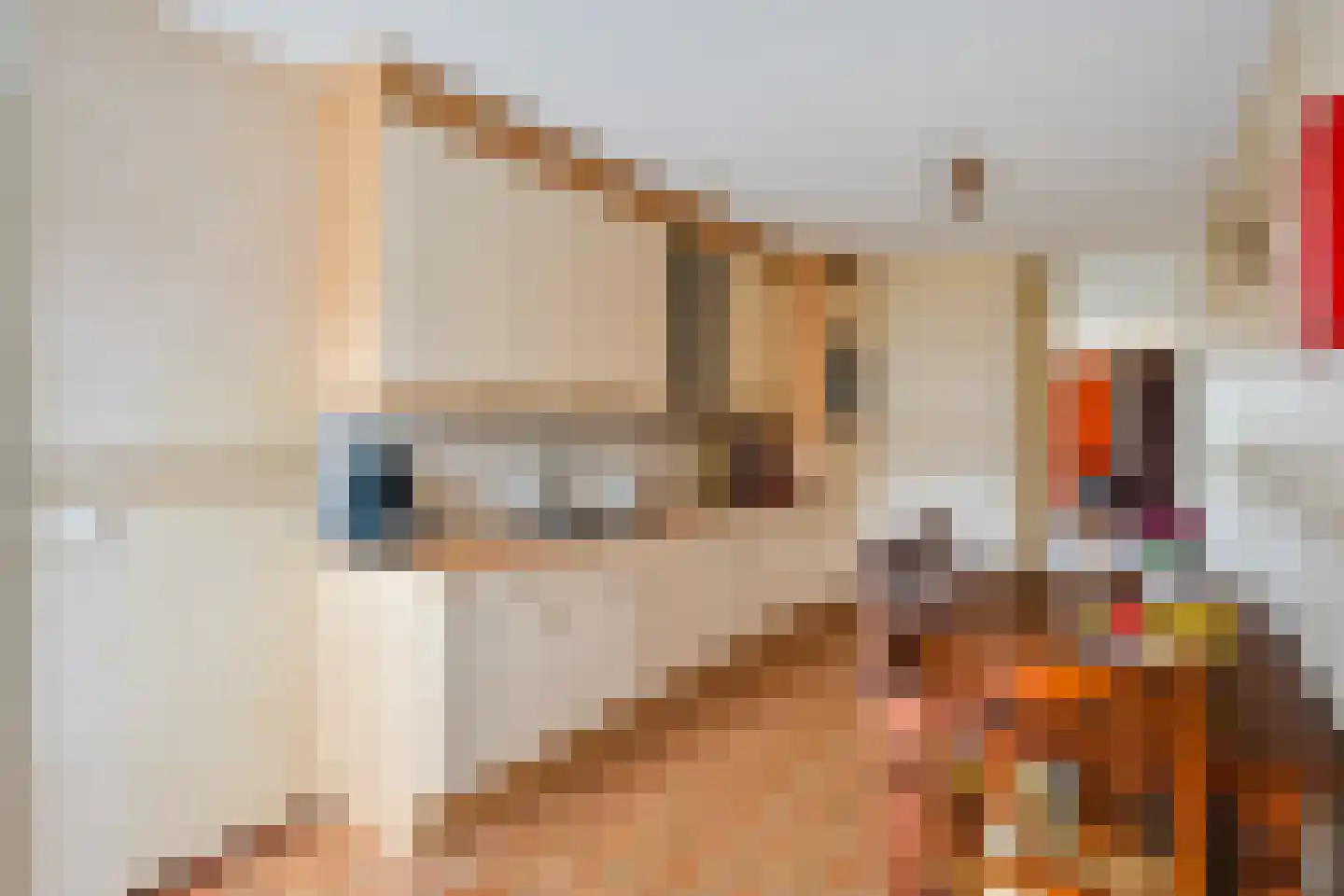 Boomsluiterstraat 24 Zwolle thumbnail 13