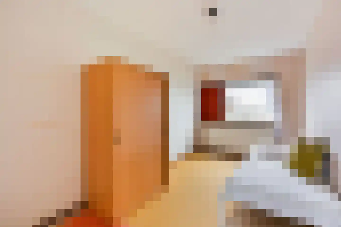 Boomsluiterstraat 24 Zwolle thumbnail 24