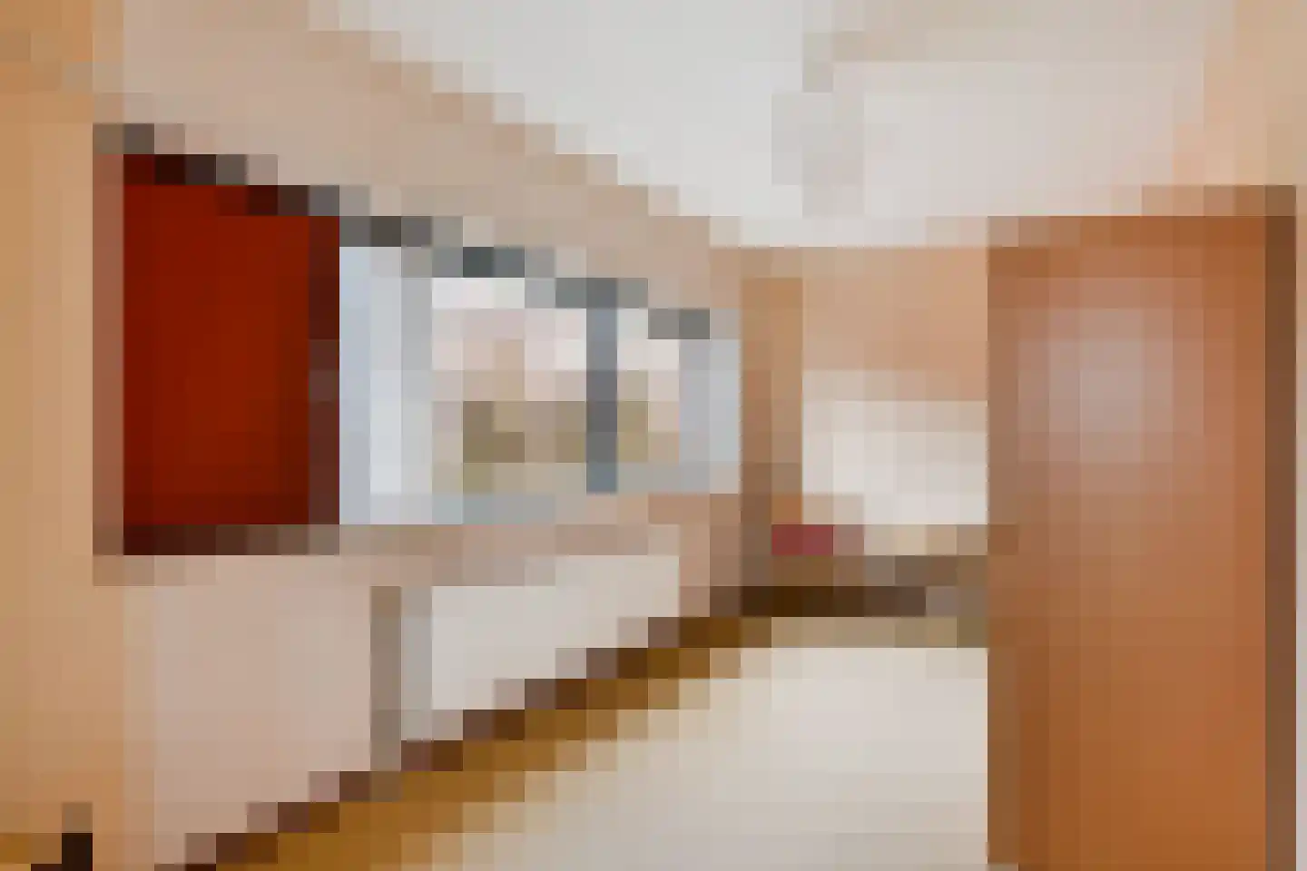 Boomsluiterstraat 24 Zwolle thumbnail 25