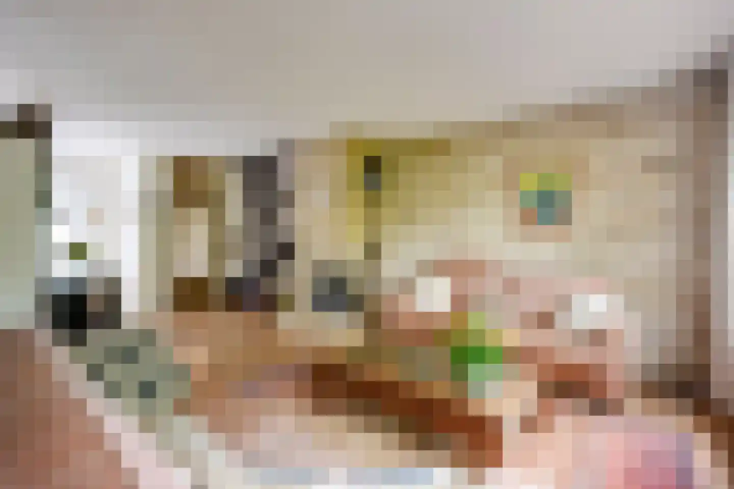 Boomstede 144 Maarssen thumbnail 18
