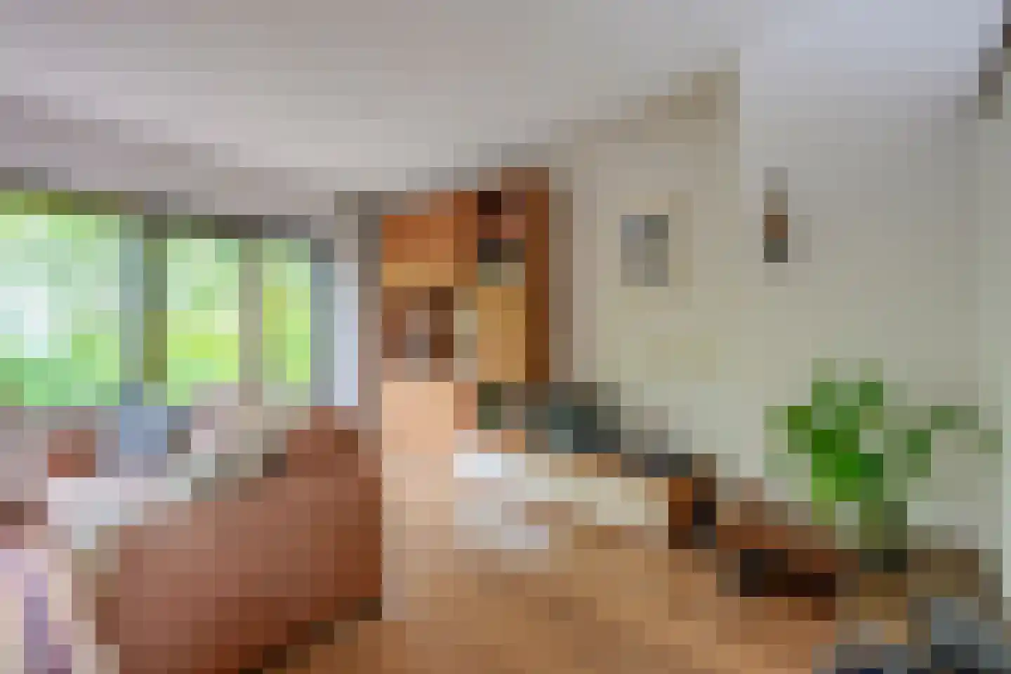Boomstede 144 Maarssen thumbnail 20