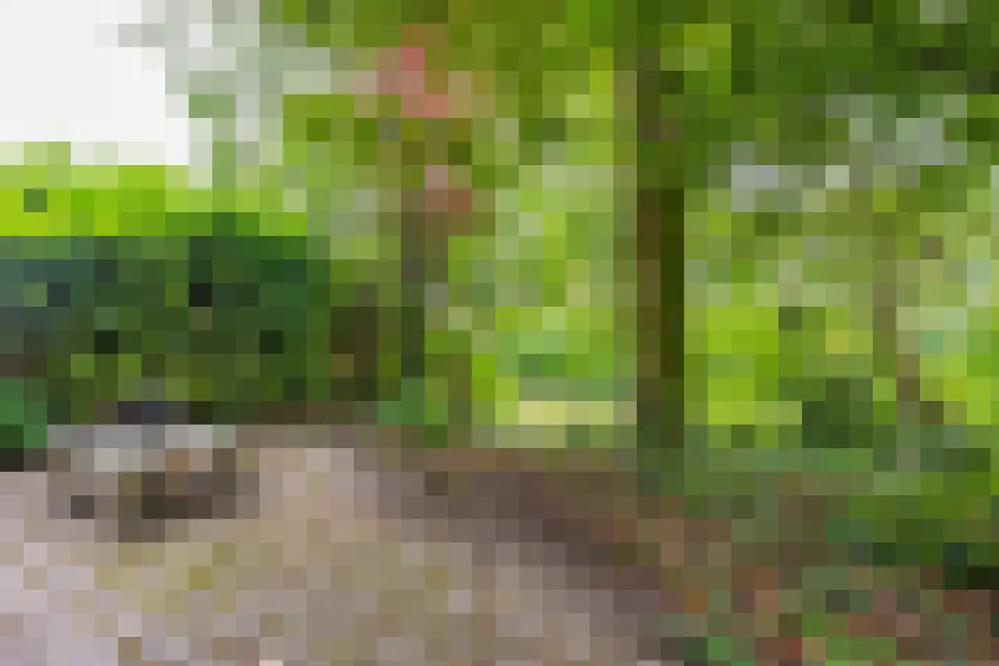 Boomstede 144 Maarssen thumbnail 25