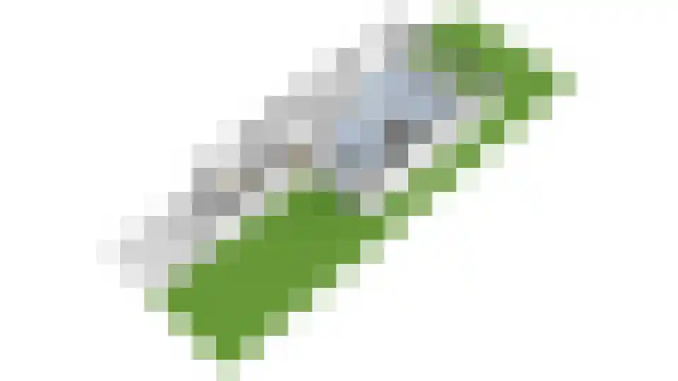 Boomstede 144 Maarssen thumbnail 57